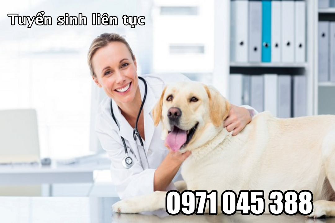 Đào Tạo Trung Cấp Thú Y